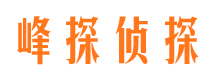 额敏寻人公司